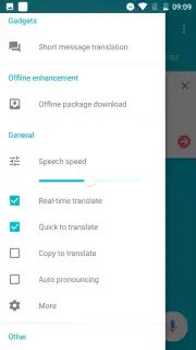 Youdao Translate capture 9