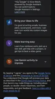 Google Gemini capture 3