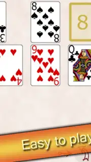 Solitaire Collection capture 15