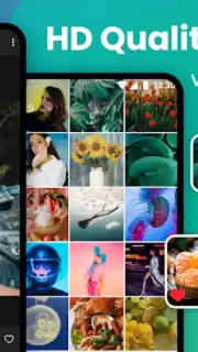 Gallery capture 9