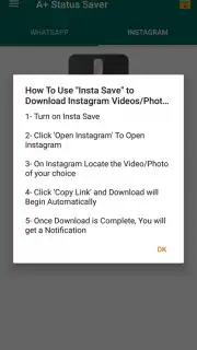 A+ Status Saver capture 4