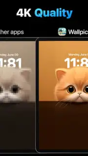 Wallpics capture 3