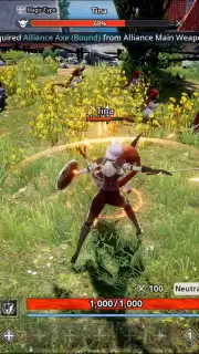 V4 capture 12