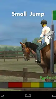 My Horse capture 2