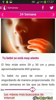Semanas Embarazo capture 6