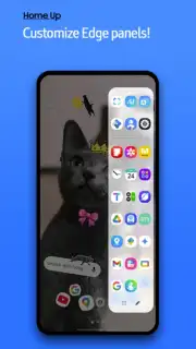 Home Up capture 1