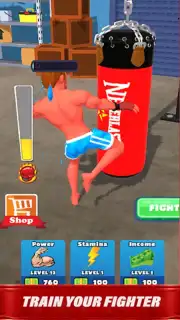 MMA Legends capture 5