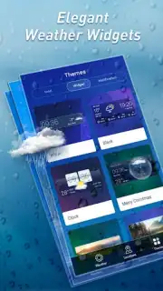 Local Weather Widget capture 5