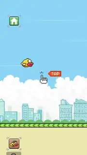 Flappy Bird capture 7