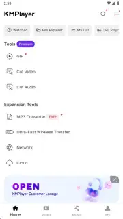 KMPlayer capture 15