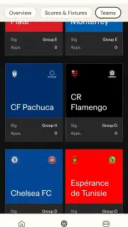 FIFA World Cup 26 capture 8