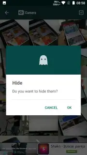 Hide Something capture 5