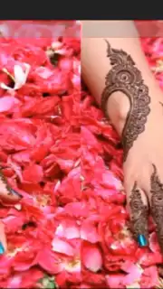 Mehndi Designs capture 1