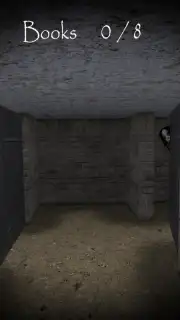 Slendrina: The Cellar capture 3