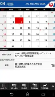 JAL Schedule capture 4