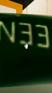 Superliminal capture 14