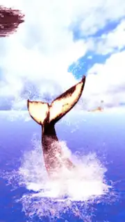 The Humpback Whales capture 8