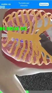 Surgeon Simulator capture 4