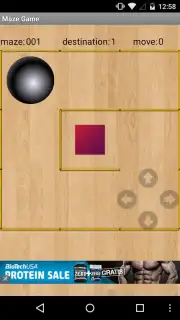 Лабиринт игры capture 4