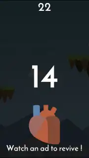 Liferun capture 6