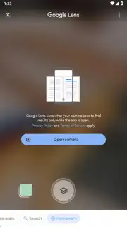 Google App capture 11