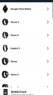 Fitbit capture 14