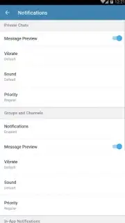 Telegram X capture 16