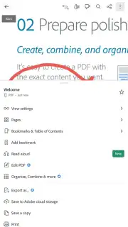 Adobe Acrobat Reader capture 2
