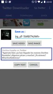 Video Downloader for Twitter capture 3