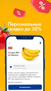ЛЕНТА – каталог продуктов capture 1
