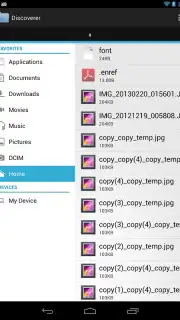 Discoverer capture 2