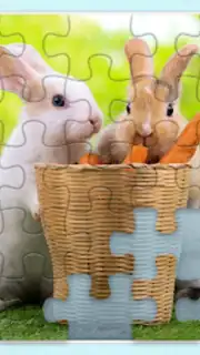Puzzles without Internet capture 5