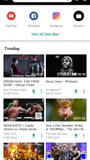 VidPaw App capture 1
