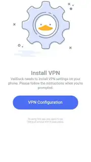 Veilduck VPN capture 5