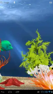 Tropical aquarium capture 2