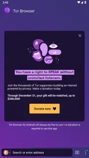 Tor Browser capture 25