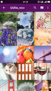 Smart Gallery - Photo Manager capture 6