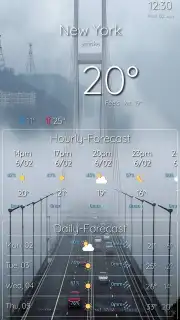Weather Earth capture 6