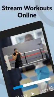 Ultimate MMA Fighting Program capture 1