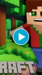 Minicraft capture 1