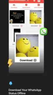 Video Downloader Pro capture 4