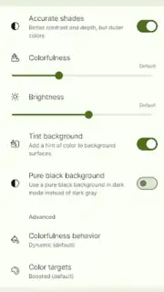 Repainter · dynamic themes capture 6