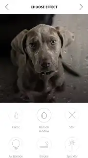 vimage capture 5