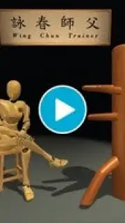 Wing Chun Trainer capture 1