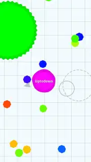 Agar.io capture 4