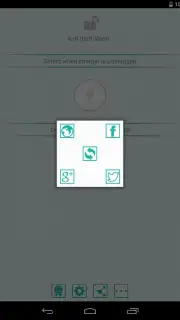 Anti theft alarm capture 2