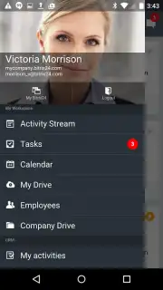 Bitrix24 capture 7