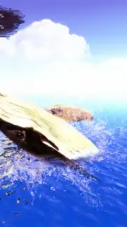 The Humpback Whales capture 2