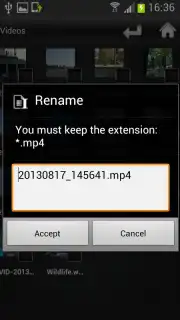 File Selector/Explorer capture 2