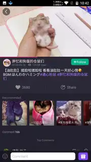 Meipai capture 12